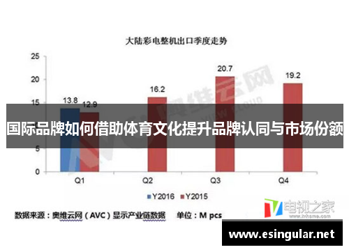 国际品牌如何借助体育文化提升品牌认同与市场份额