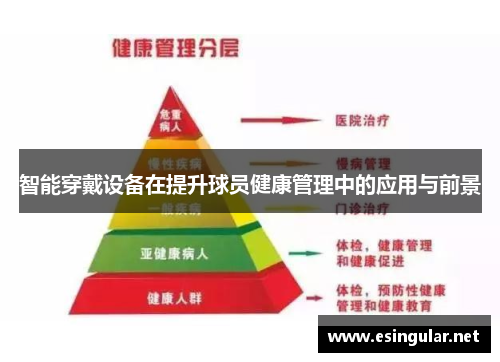 智能穿戴设备在提升球员健康管理中的应用与前景