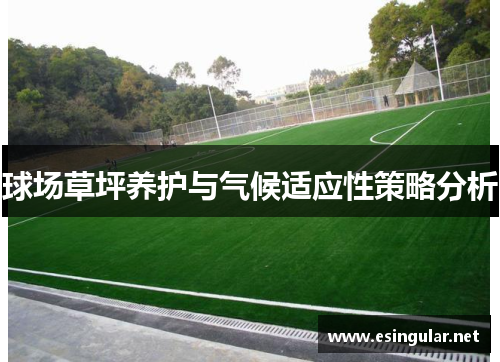 球场草坪养护与气候适应性策略分析